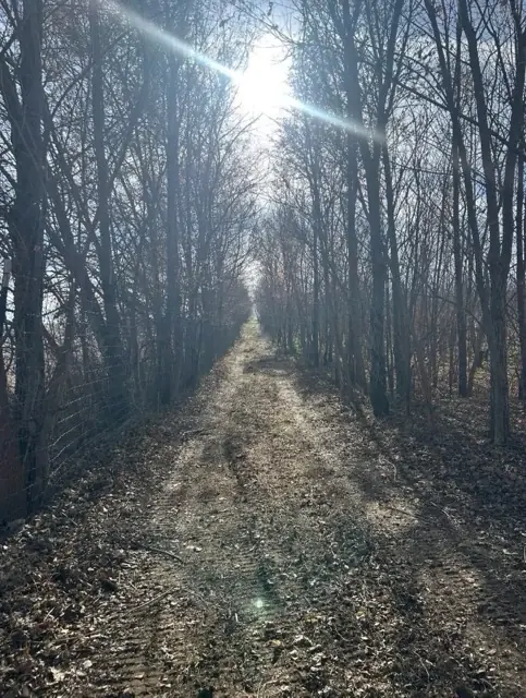 Cleared mowing path through a wooded property