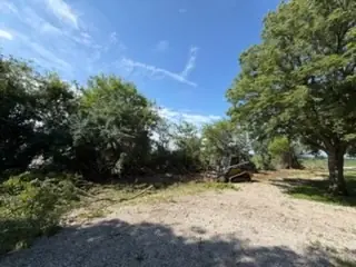 Cleared ground and mulching equipment beside mature trees