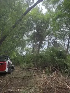 Tracked forestry mulcher working through wooded brush