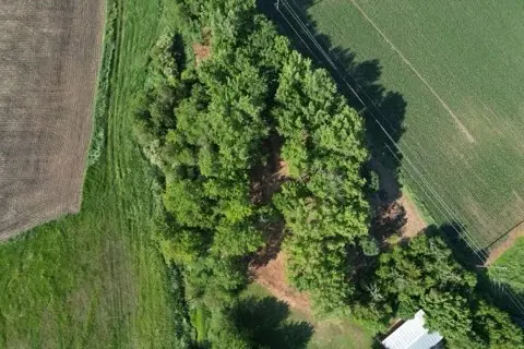 Aerial view of cleared paths through a wooded Iowa property