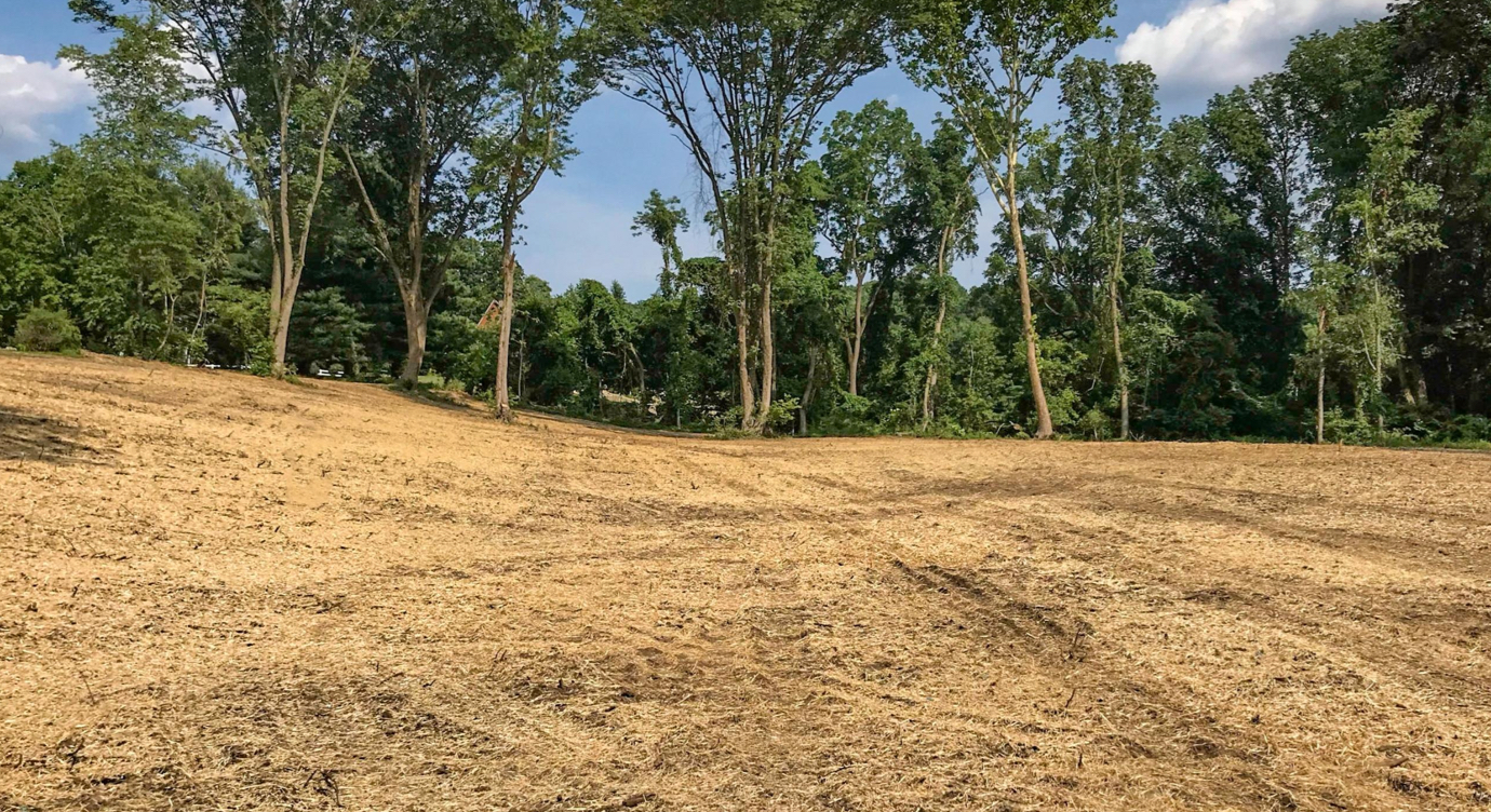 Precision Land Clearing in Waynesboro, Virginia